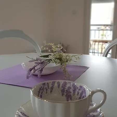 Provansa * Vrnjačka Banja