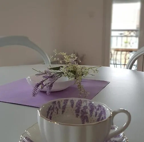 Provansa * Vrnjačka Banja